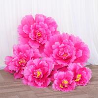 uploads/erp/collection/images/Home Garden/CongDing/XU0611491/img_b/XU0611491_img_b_4